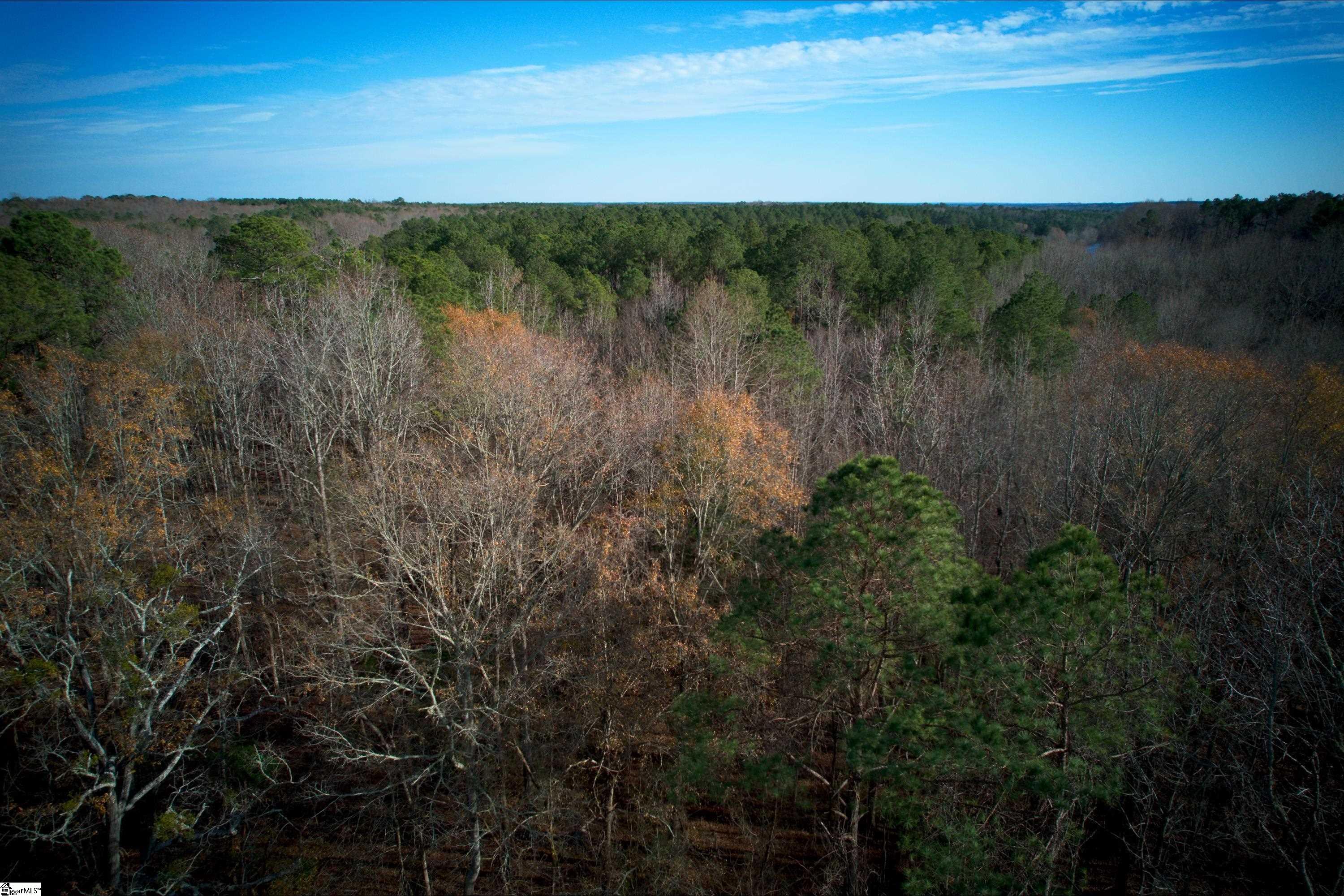 171 Ron McNair Road Mountville, SC 29370 - Photo 9 of 30