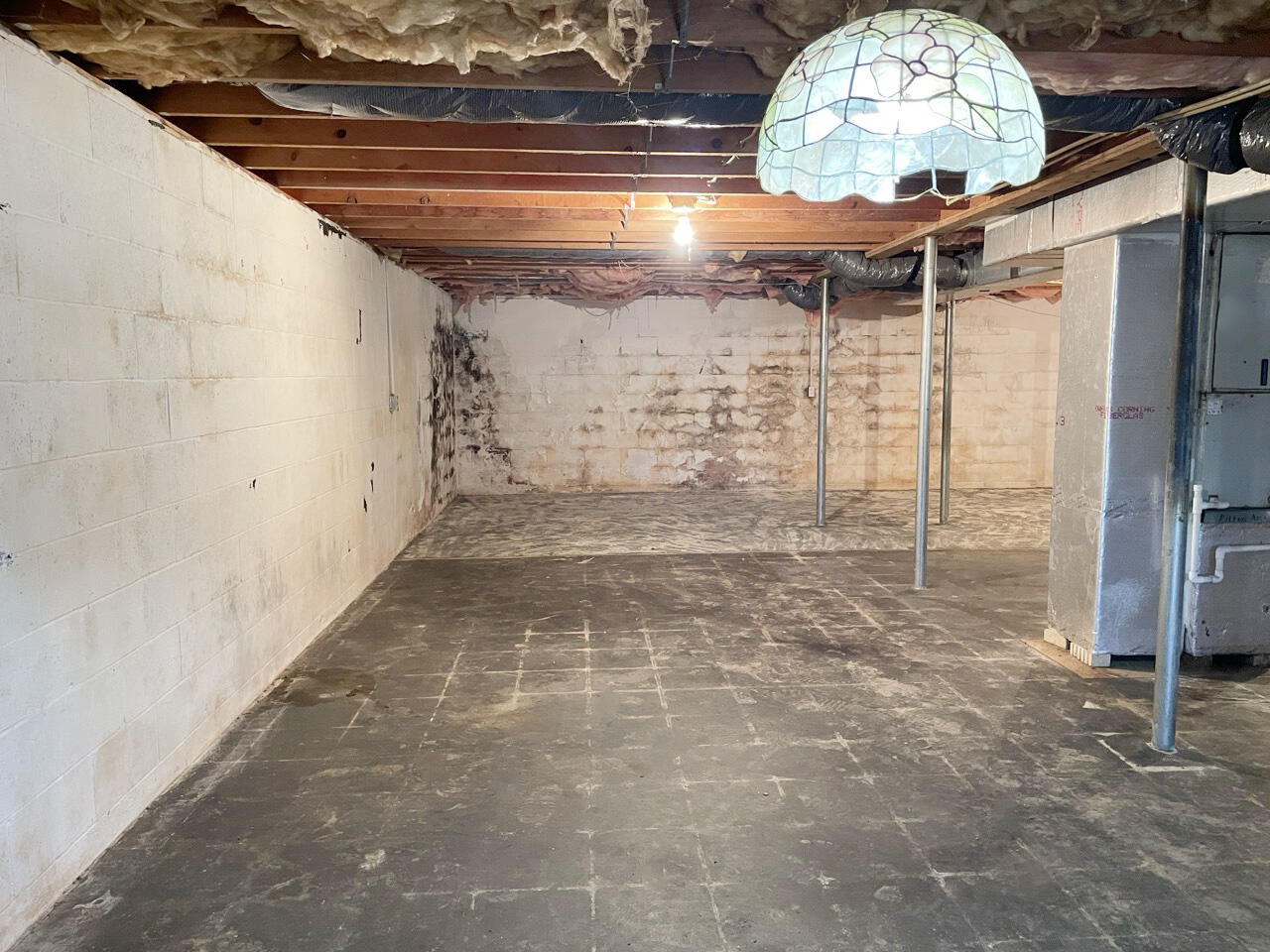 460 Lawless Cemetery Road Jamestown, KY 42629 - Photo 22 of 23 Interior_Basement_1b