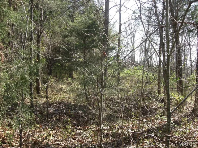 $795,000 | 0 Crews Drive, St. Clair, MO 63077