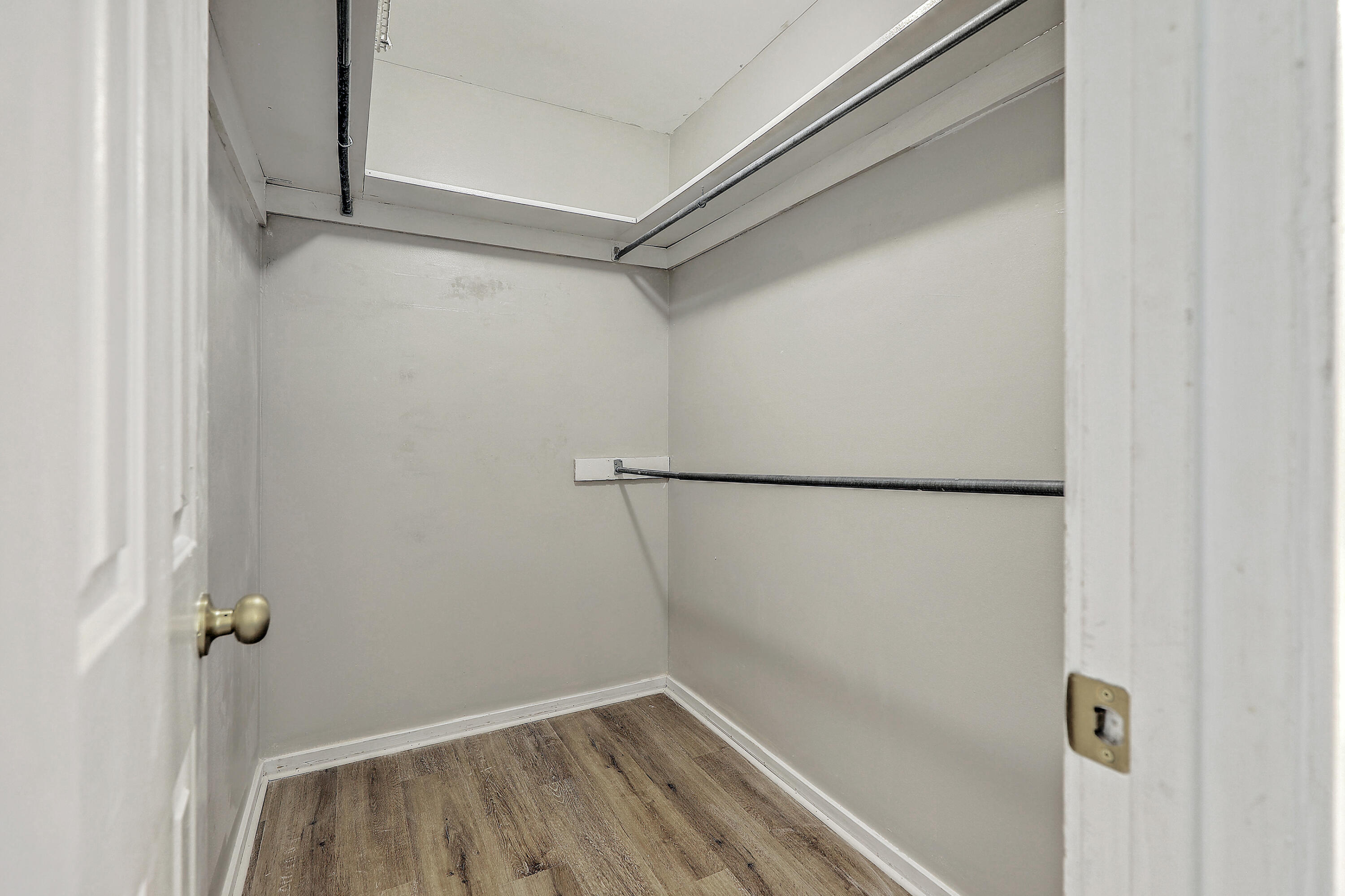 201 Two Hitch Road Goose Creek, SC 29445 - Photo 15 of 29 Walk-in closet with shelf