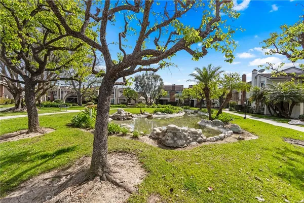 a view of a garden with a tree