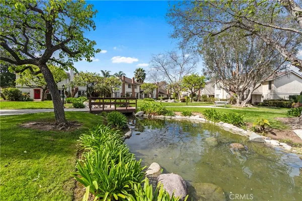 a view of a park with large trees