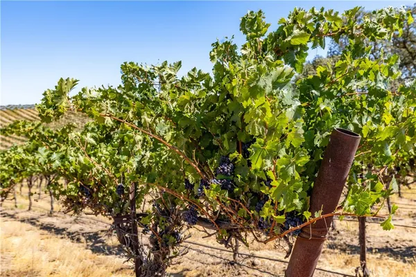 $1,950,000 | 4825 Mill Road, Paso Robles, CA 93446