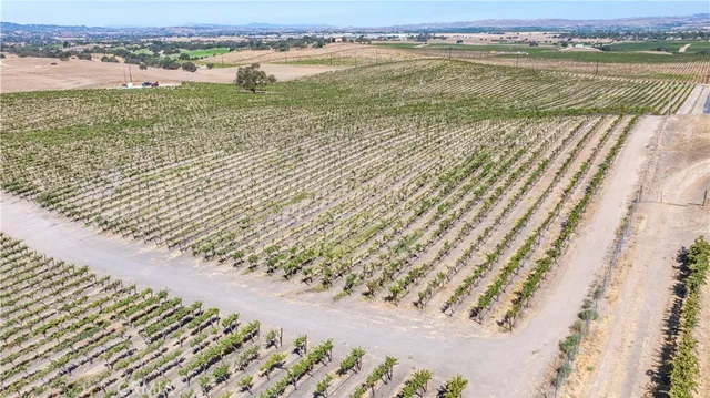 a view of an ocean beach