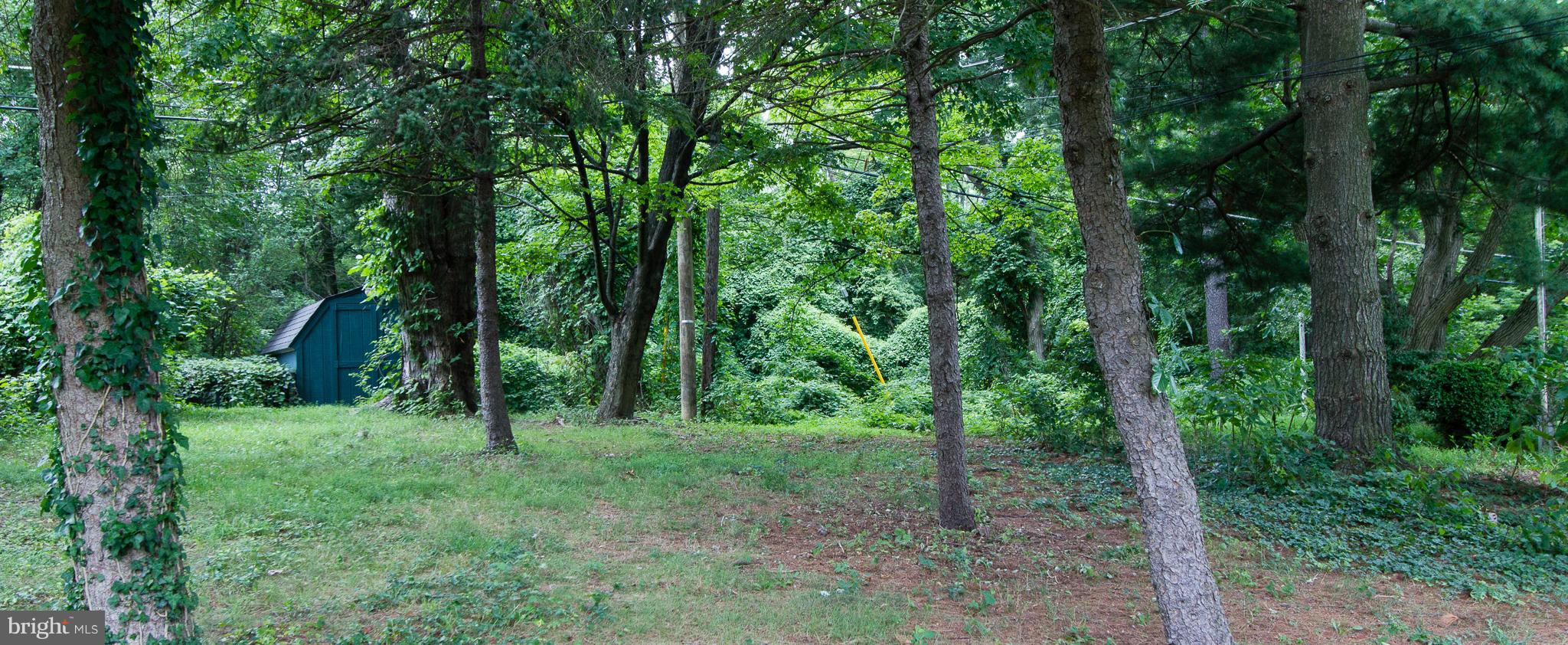 2110 Cider Mill Road Baltimore, MD 21234 - Photo 30 of 30 Private back yard with trees