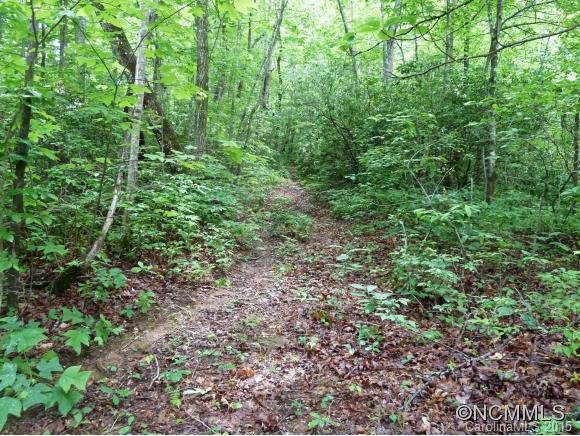 0 Henry Mountain Road Brevard, NC 28712 - Photo 1 of 14 Gallery Image 1