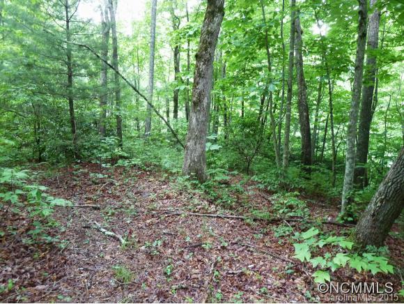 0 Henry Mountain Road Brevard, NC 28712 - Photo 2 of 14 Gallery Image 2