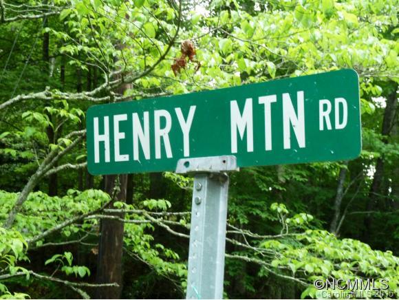 0 Henry Mountain Road Brevard, NC 28712 - Photo 13 of 14 Gallery Image 13