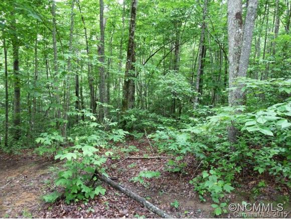 0 Henry Mountain Road Brevard, NC 28712 - Photo 3 of 14 Gallery Image 3