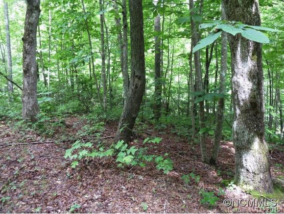 0 Henry Mountain Road Brevard, NC 28712 - Photo 4 of 14 Gallery Image 4