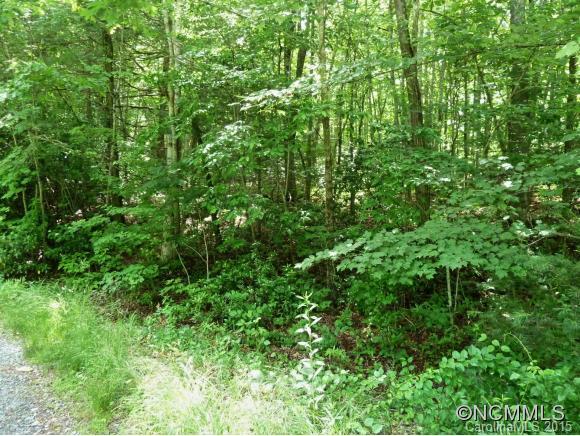 0 Henry Mountain Road Brevard, NC 28712 - Photo 5 of 14 Gallery Image 5