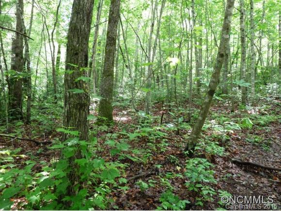0 Henry Mountain Road Brevard, NC 28712 - Photo 6 of 14 Gallery Image 6