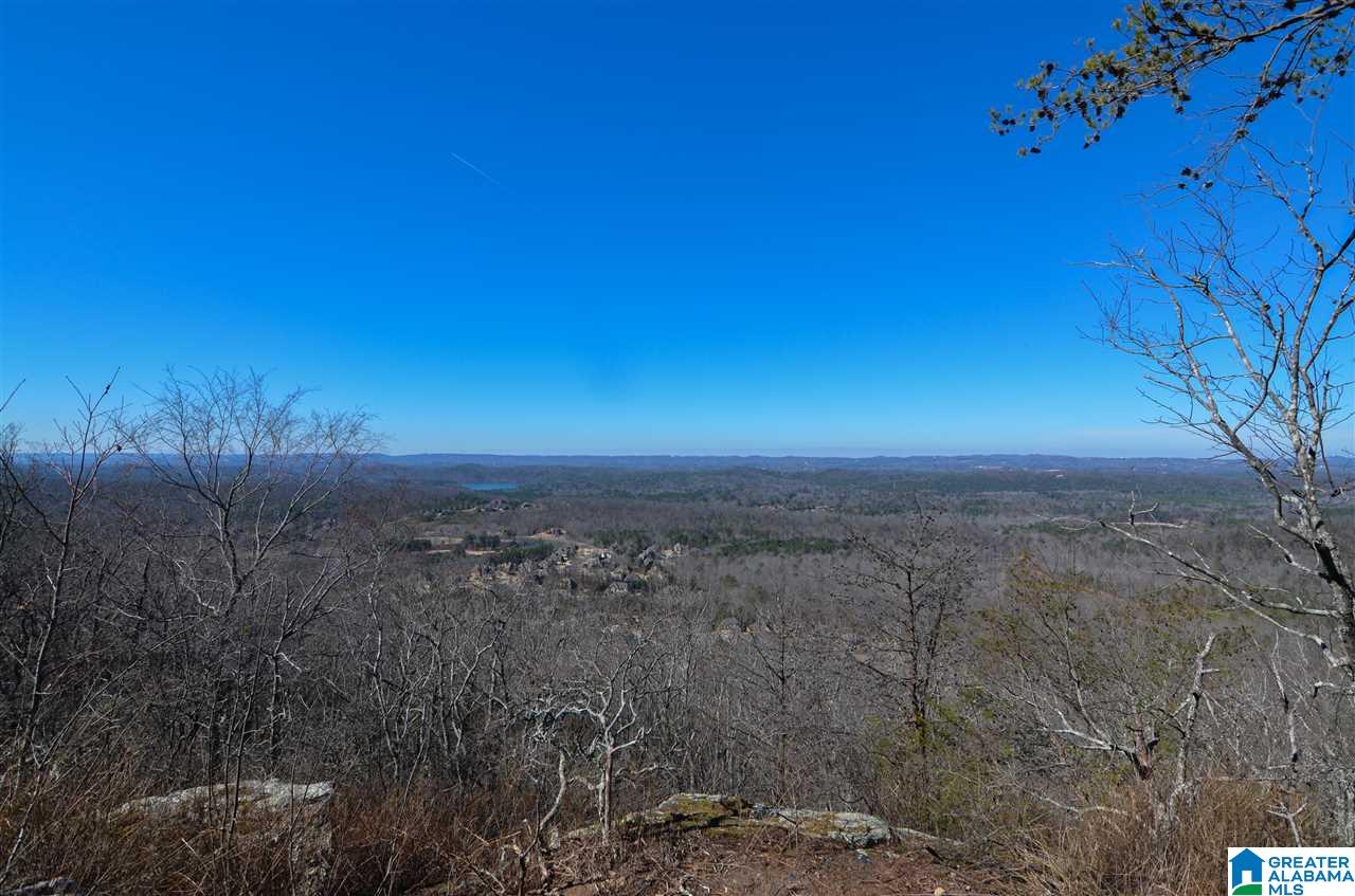 0 Springstone Trail, Unit 6 Leeds, AL 35094 - Photo 4 of 7