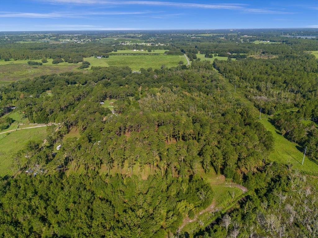 9535 Number 2 Road Howey-in-the-Hills, FL 34737 - Photo 11 of 22