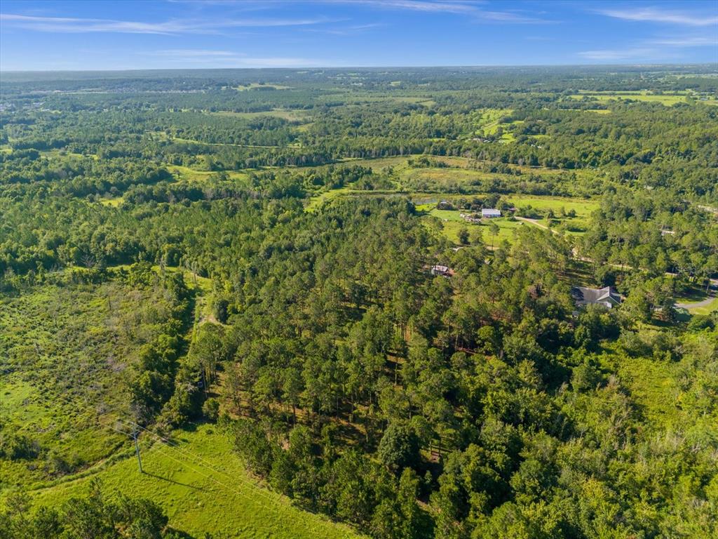 9535 Number 2 Road Howey-in-the-Hills, FL 34737 - Photo 14 of 22