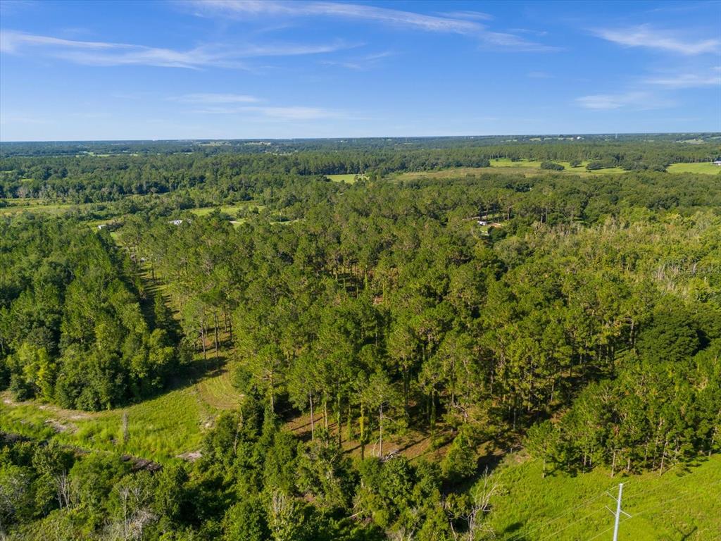 9535 Number 2 Road Howey-in-the-Hills, FL 34737 - Photo 19 of 22