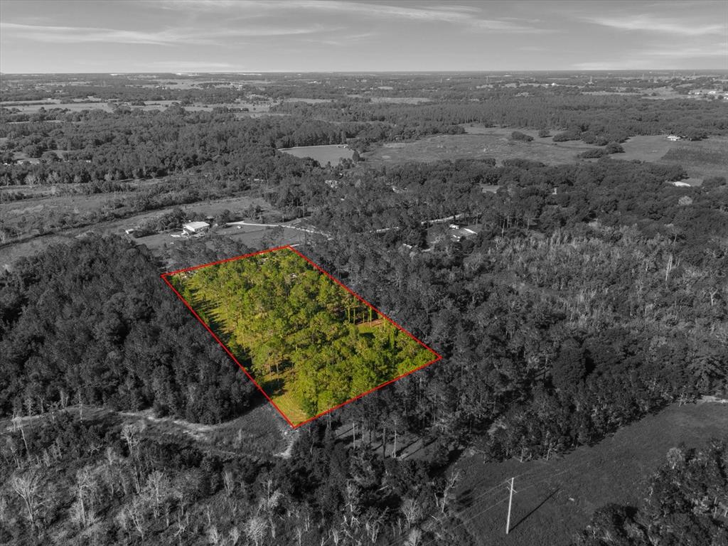 9535 Number 2 Road Howey-in-the-Hills, FL 34737 - Photo 2 of 22