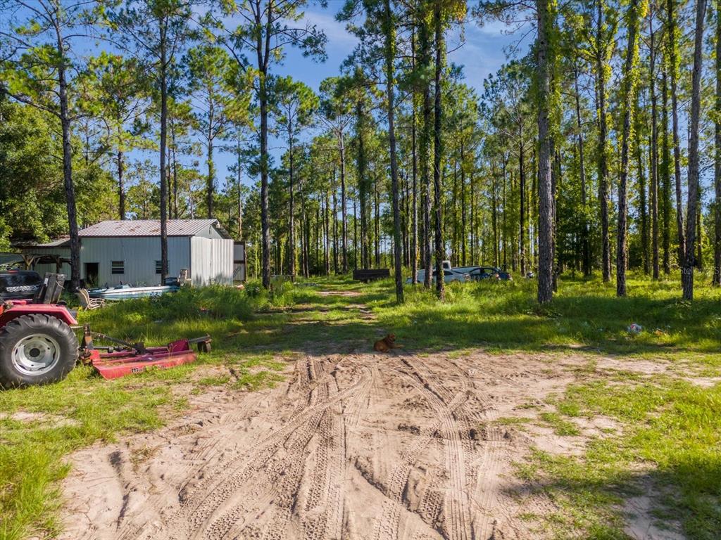 9535 Number 2 Road Howey-in-the-Hills, FL 34737 - Photo 6 of 22