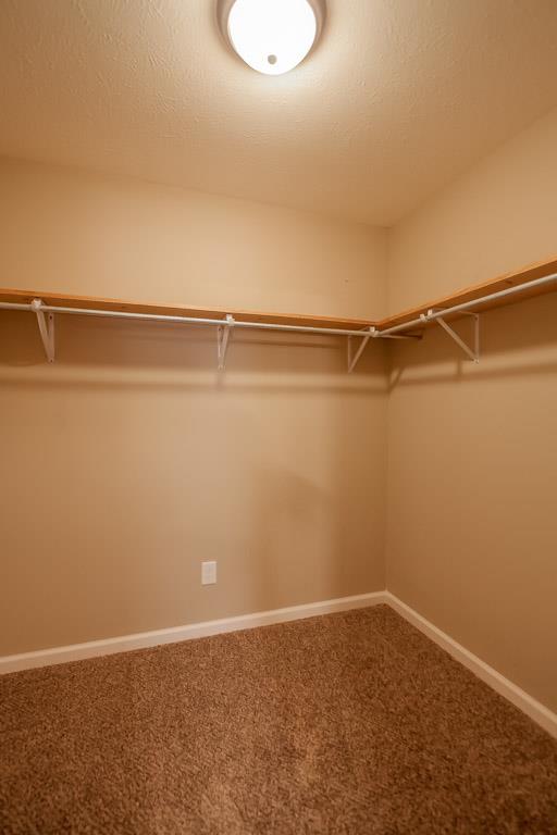 1500 Haynes Road Woodlawn, TN 37191 - Photo 16 of 30 Gallery Image 16