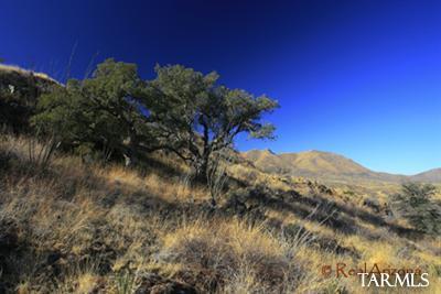 0 Grosvenor Road Rio Rico, AZ 85648 - Photo 1 of 7 Gallery Image 1