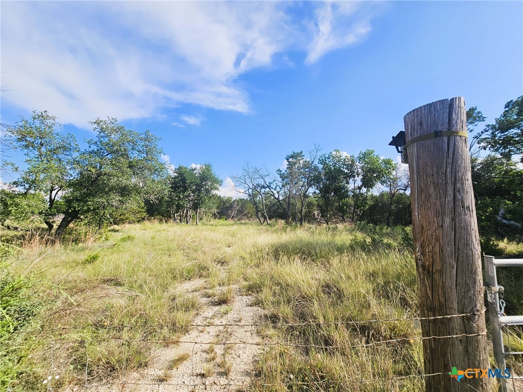 100 Reavis Drive Kempner, TX 76539 - Photo 30 of 33