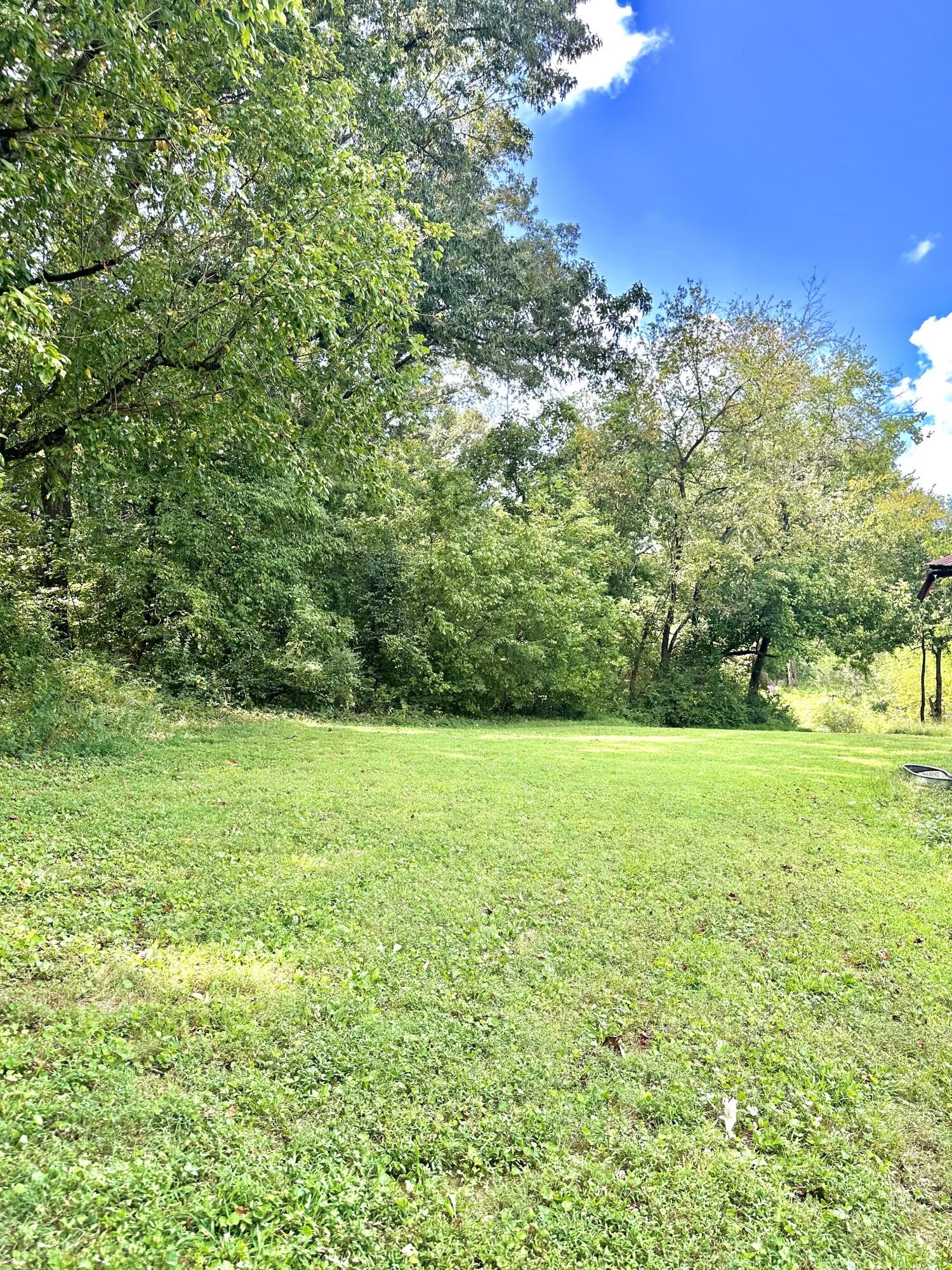 0 High Street Northeast Charleston, TN 37310 - Photo 9 of 28