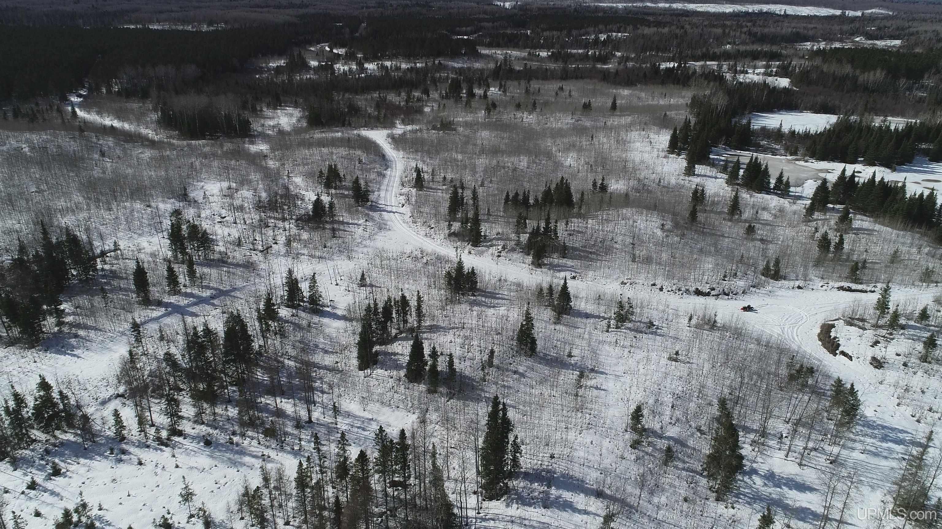 80-acres 80-acres 18th Road Republic, MI 49879 - Photo 19 of 25