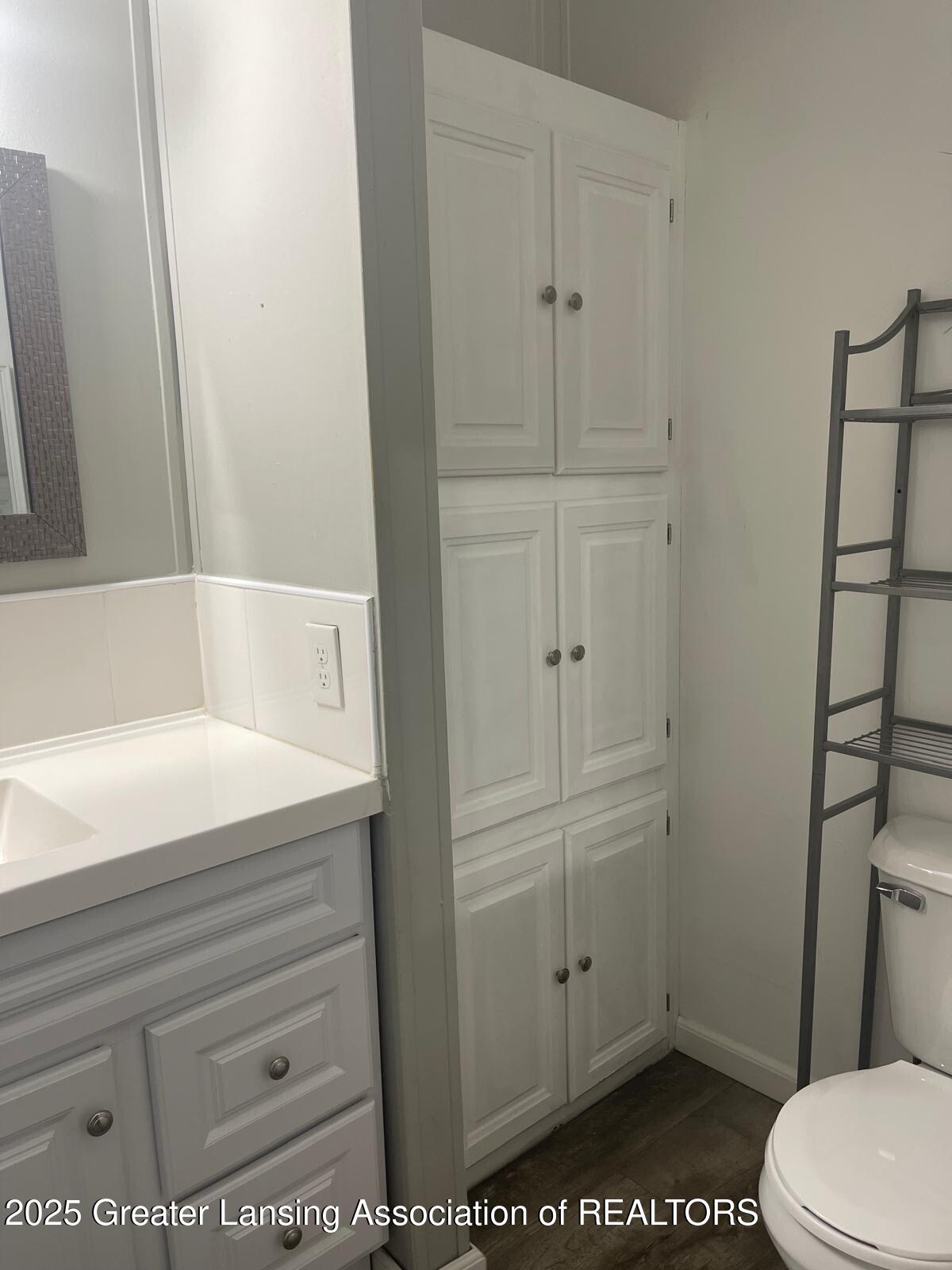 11173 Bennett Road Sumner, MI 48889 - Photo 21 of 56 11173 bath3