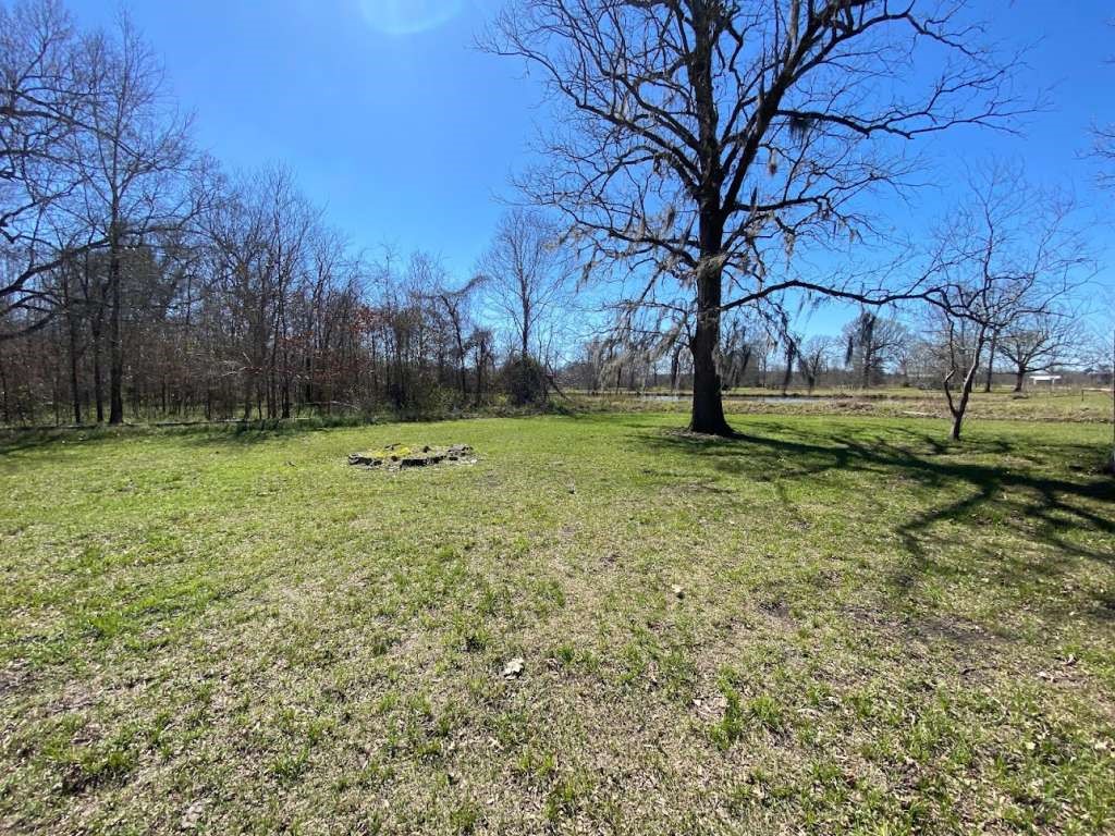 236 Adelaide Drive Cleveland, TX 77327 - Photo 8 of 33 a big yard with lots of green space and trees