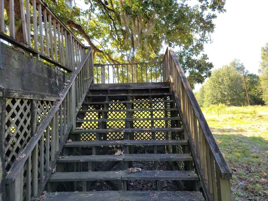236 Adelaide Drive Cleveland, TX 77327 - Photo 9 of 33 a view of balcony with wooden floor