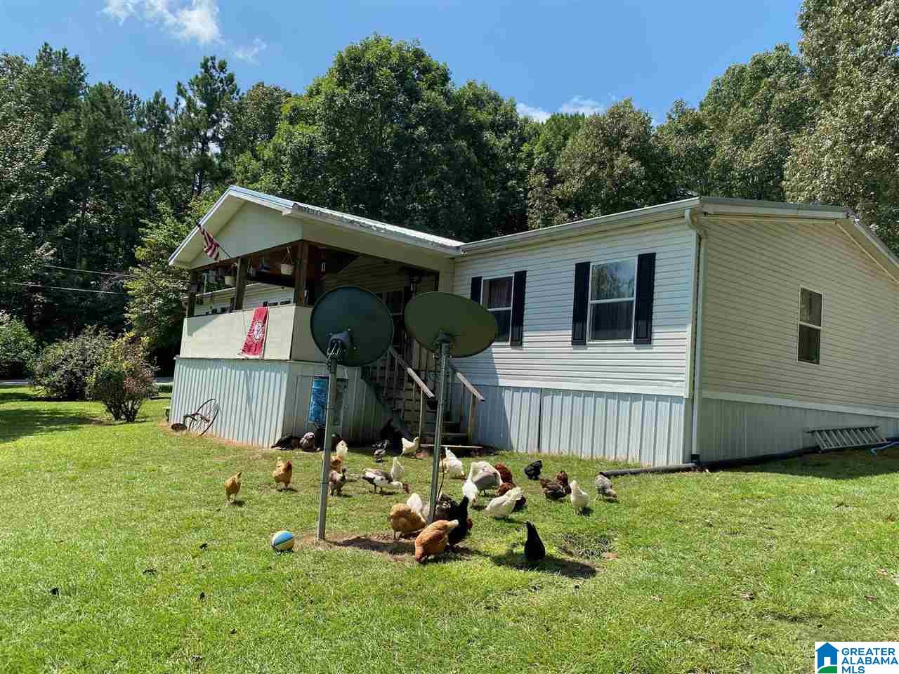 2825 Odena Road North Sylacauga, AL 35150 - Photo 3 of 17