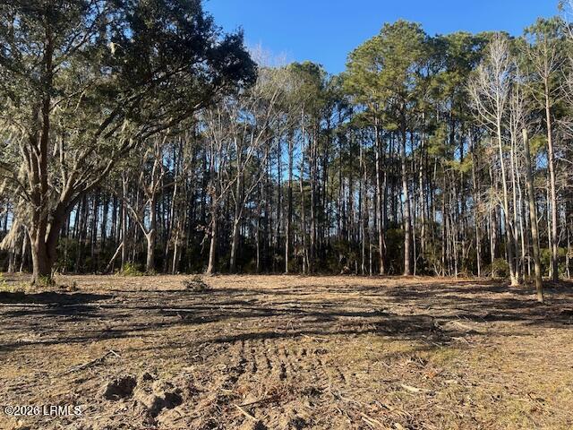 42 Mike Drive Okatie, SC 29909 - Photo 1 of 2 42 Mike Dr2