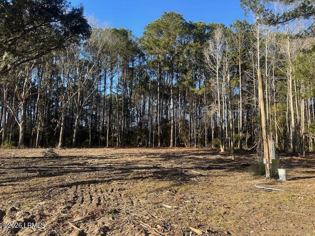 42 Mike Drive Okatie, SC 29909 - Photo 2 of 2 42 Mike Dr