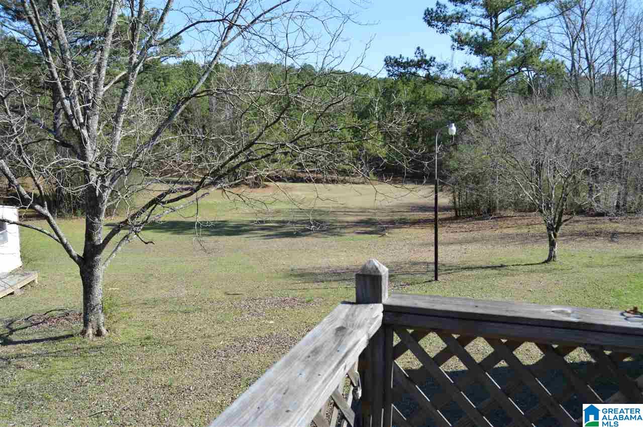 6269 Bibby Brickyard Road Dora, AL 35062 - Photo 4 of 32
