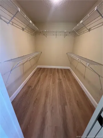 a bathroom with a shower and a toilet