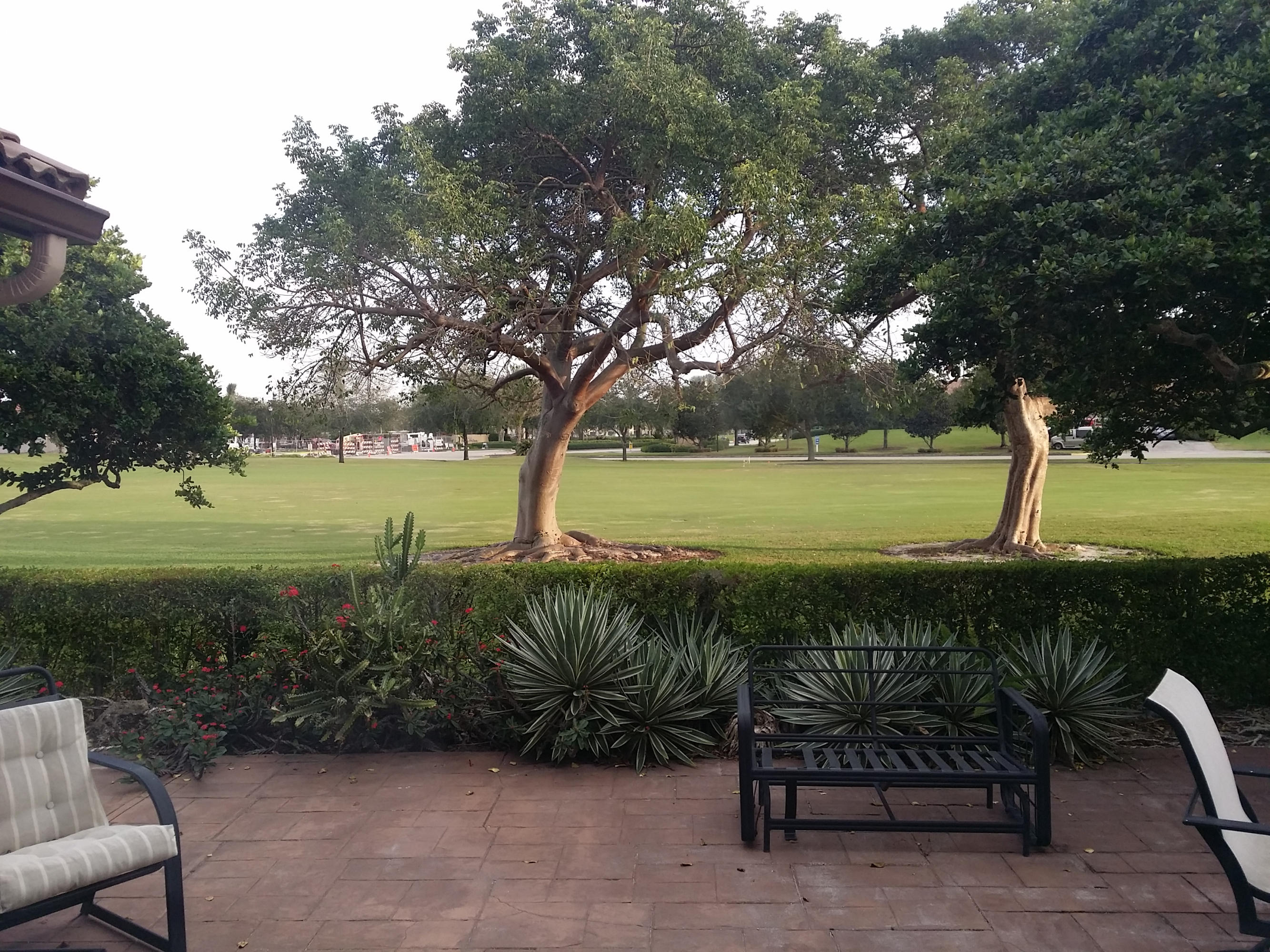 7188 Via Palomar Boca Raton, FL 33433 - Photo 11 of 15 20141211_163108
