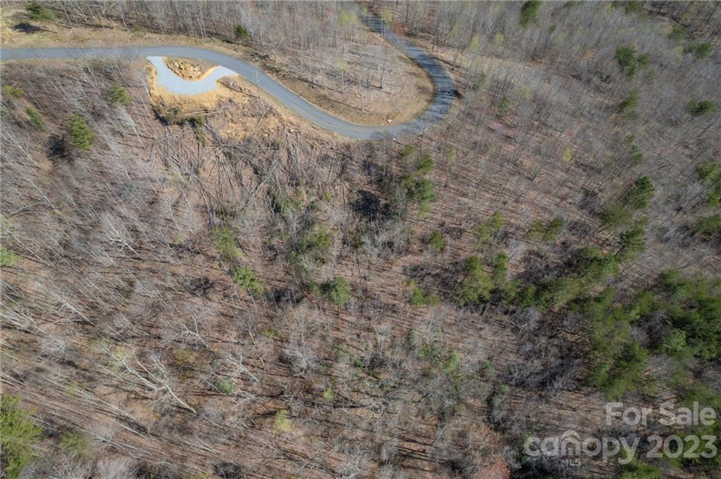 0 Labras Drive Union Mills, NC 28167 - Photo 12 of 28 a close up of a plant in a yard