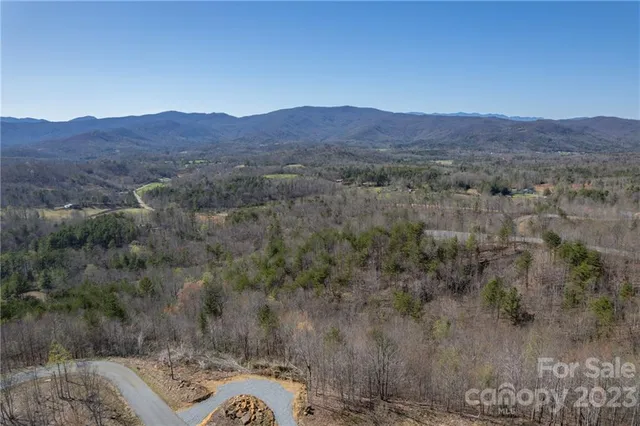 a view of a lush green hillside and a houses