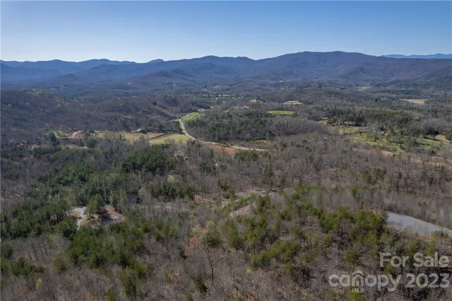 a view of a lush green hillside and a houses