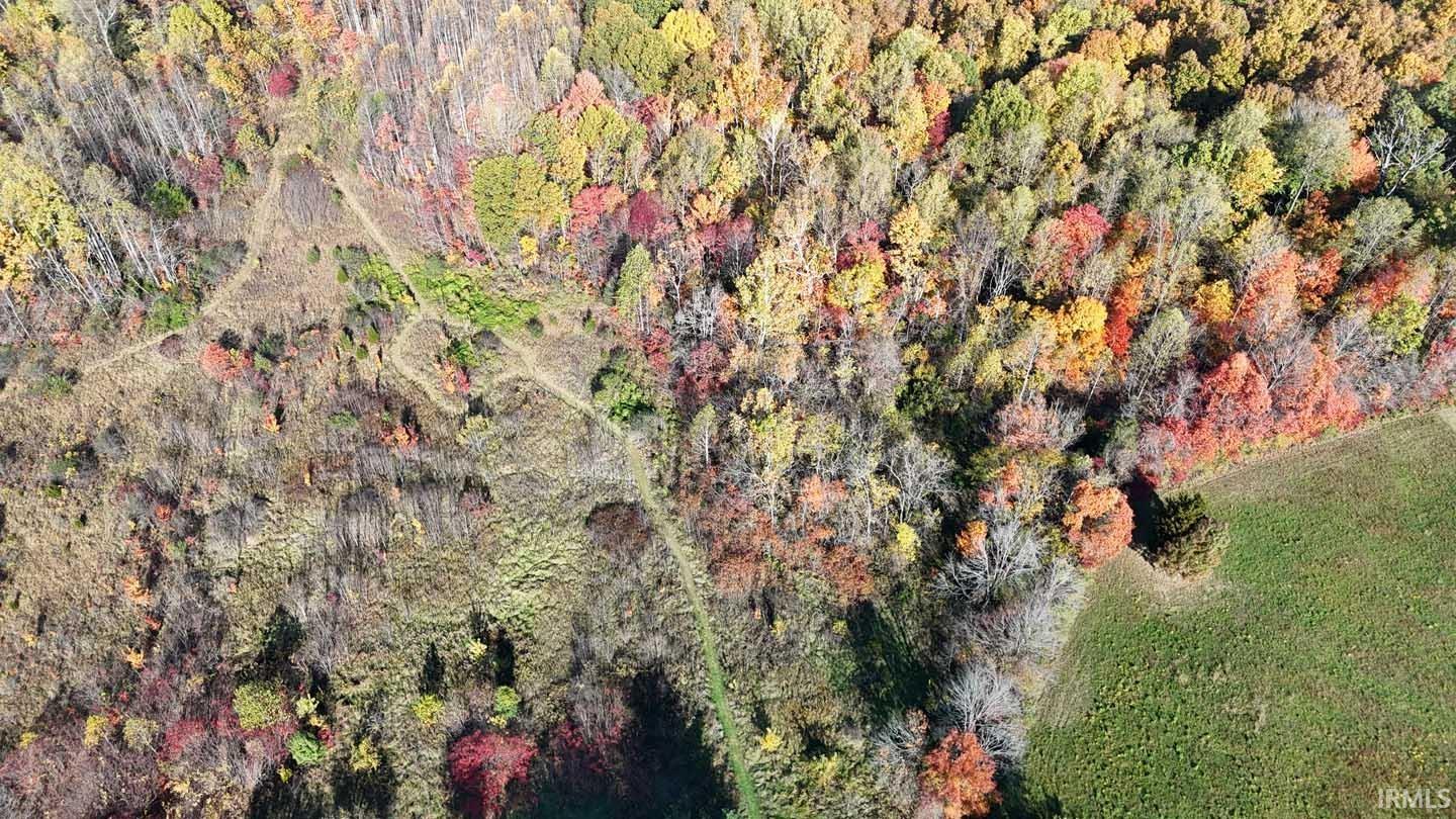 8619 North Fire Station Road Bloomfield, IN 47424 - Photo 3 of 21