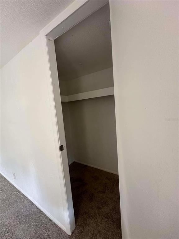 6445 Southeast 173 Lane Summerfield, FL 34491 - Photo 28 of 42 a view of closet