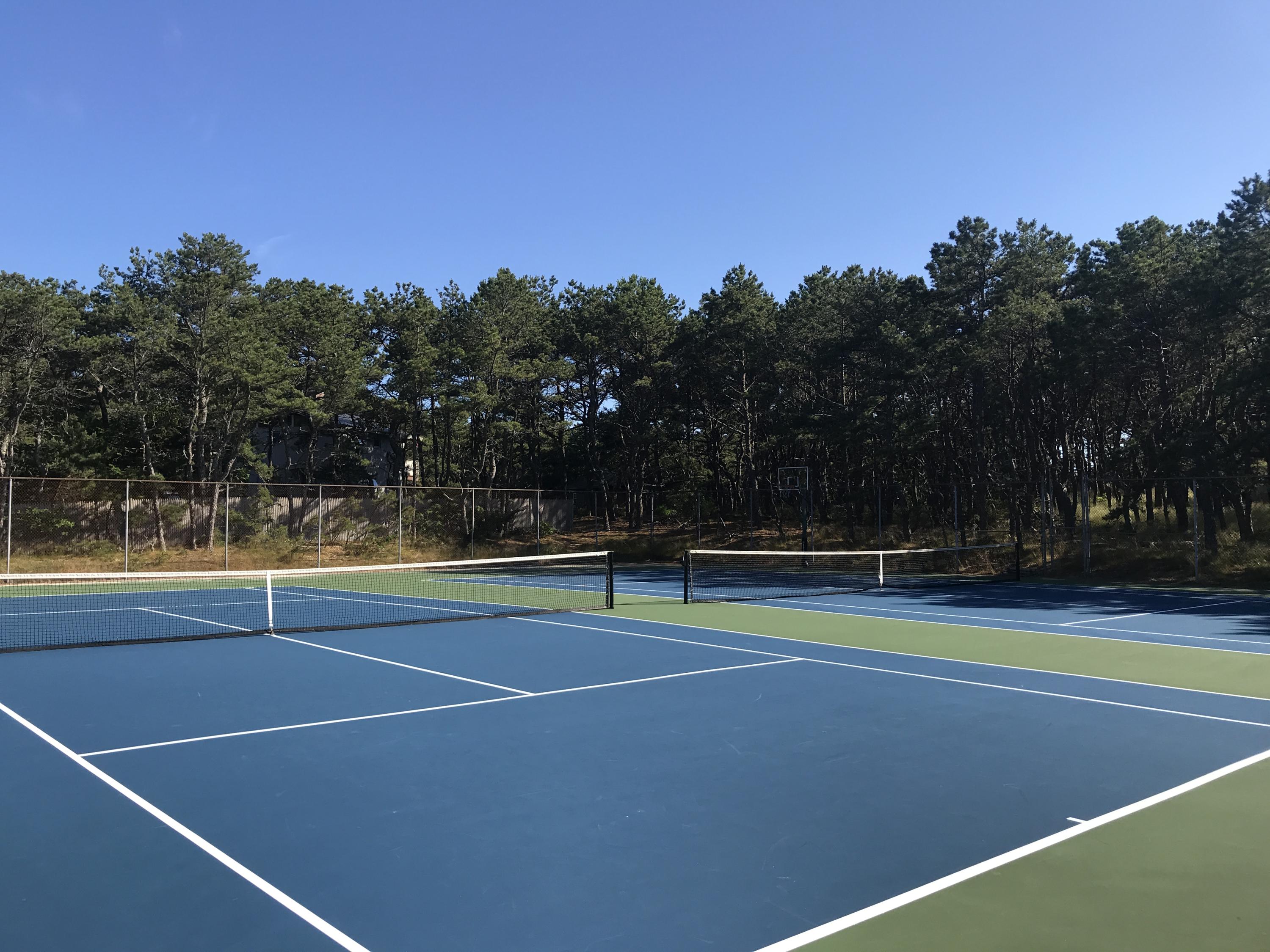 265 King Phillip Road Wellfleet, MA 02667 - Photo 64 of 85 a view of tennis court with trees in the background