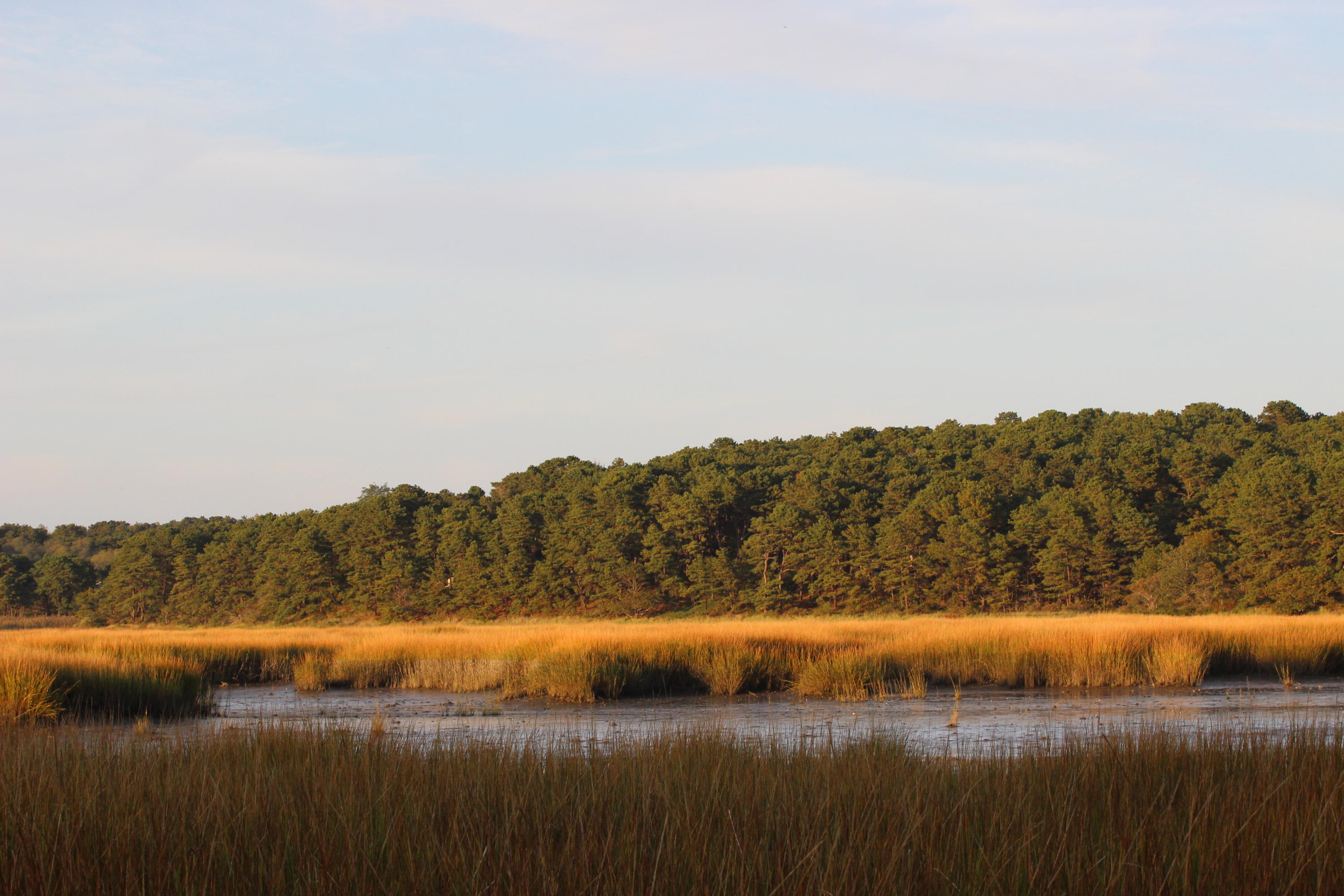 265 King Phillip Road Wellfleet, MA 02667 - Photo 82 of 85 265 KPR