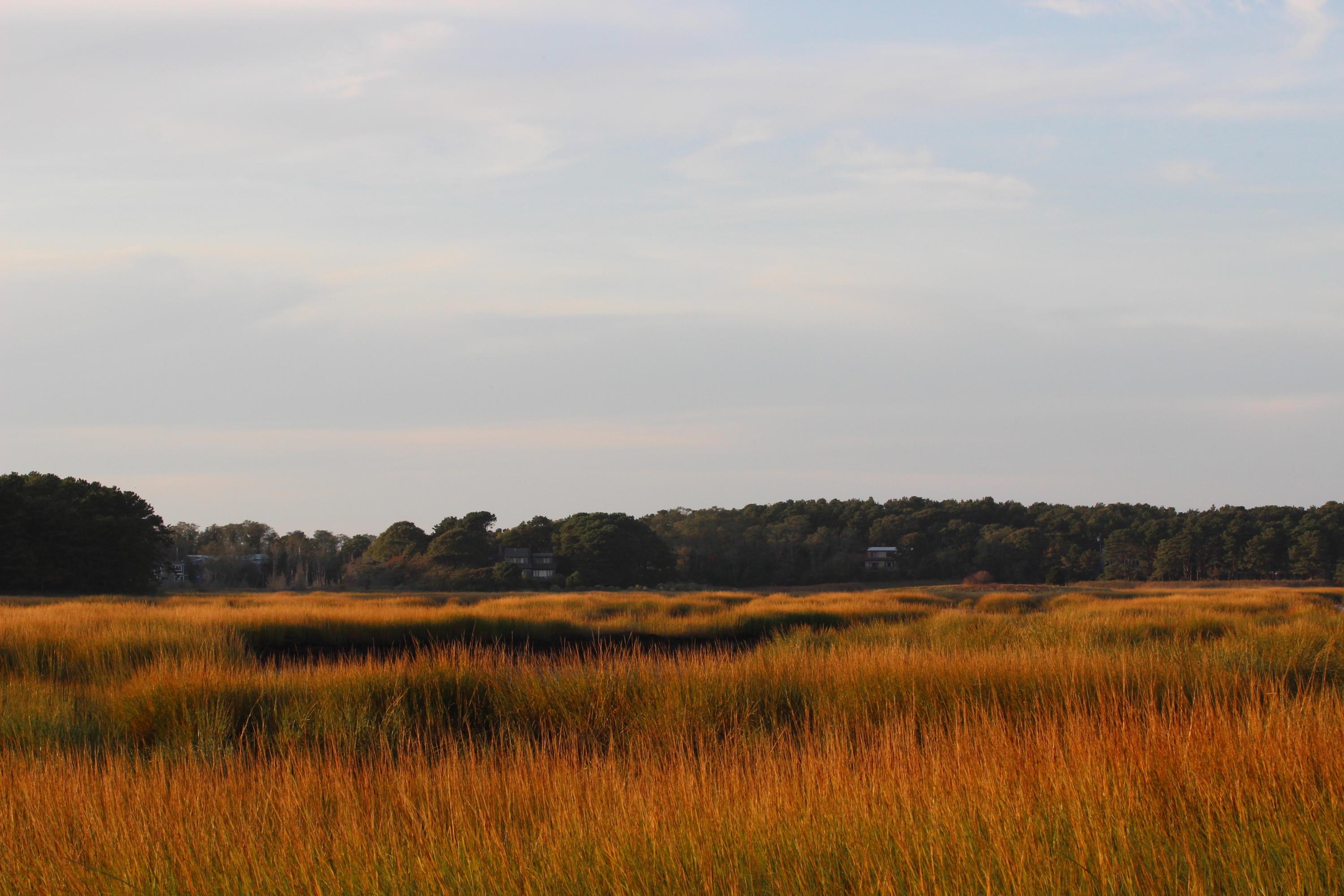 265 King Phillip Road Wellfleet, MA 02667 - Photo 83 of 85 265 KPR