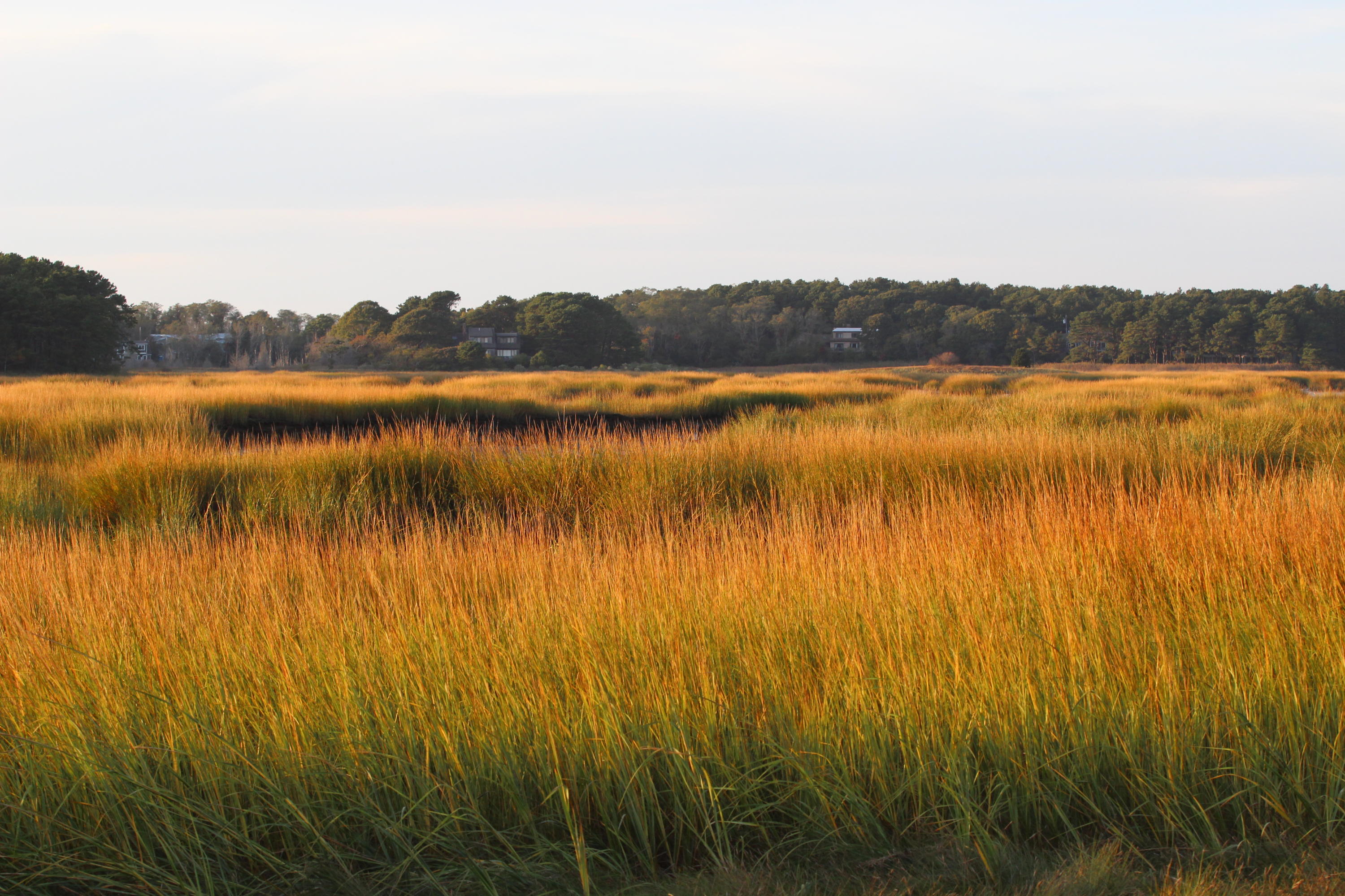 265 King Phillip Road Wellfleet, MA 02667 - Photo 84 of 85 265 KPR