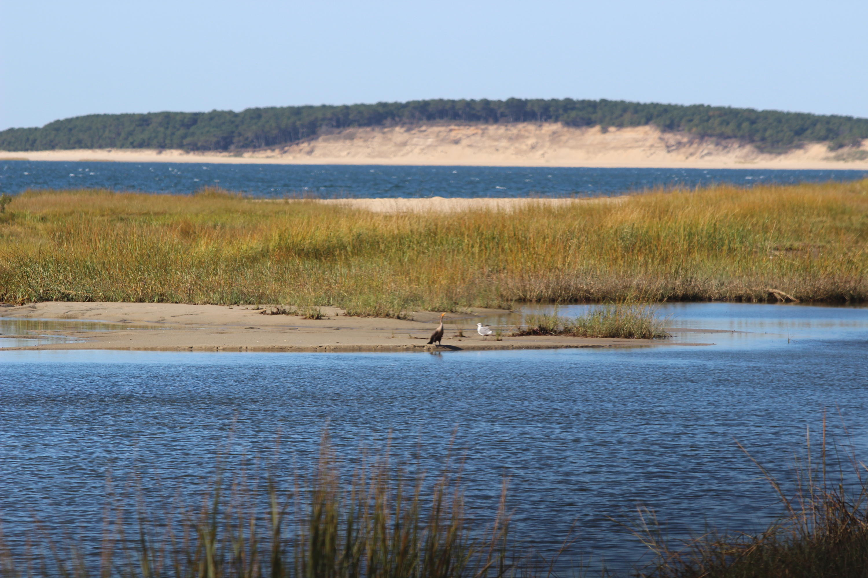 265 King Phillip Road Wellfleet, MA 02667 - Photo 85 of 85 a view of an ocean and beach