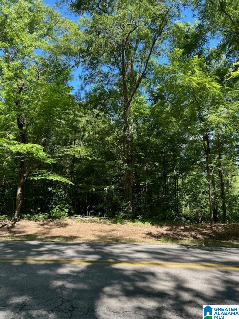 6587 Eastern Valley Road, Unit 6587 McCalla, AL 35111 - Photo 6 of 9