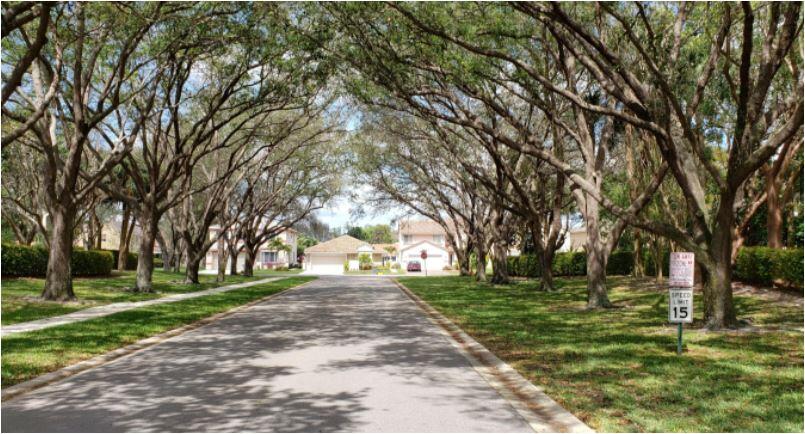 10285 Boca Springs Drive Boca Raton, FL 33428 - Photo 3 of 19 X