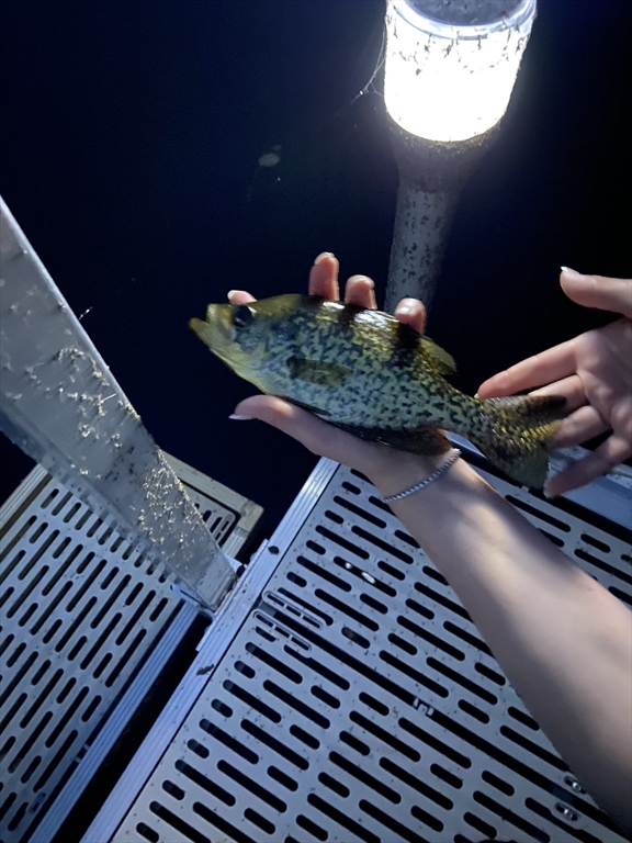 864 South Road Ashby, MA 01431 - Photo 22 of 32