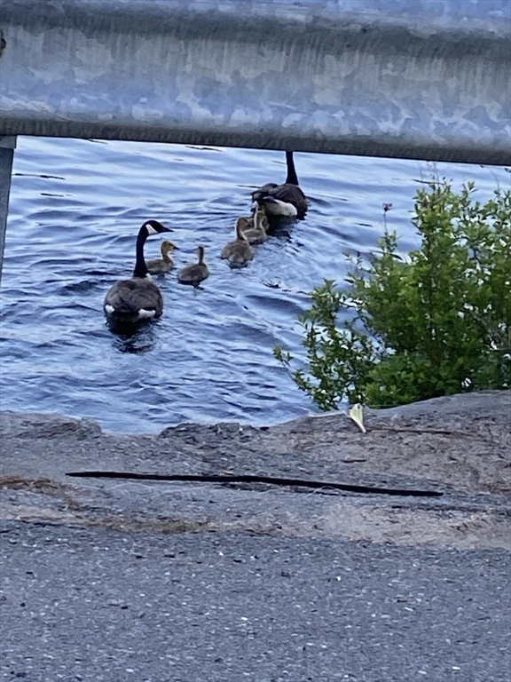 864 South Road Ashby, MA 01431 - Photo 25 of 32